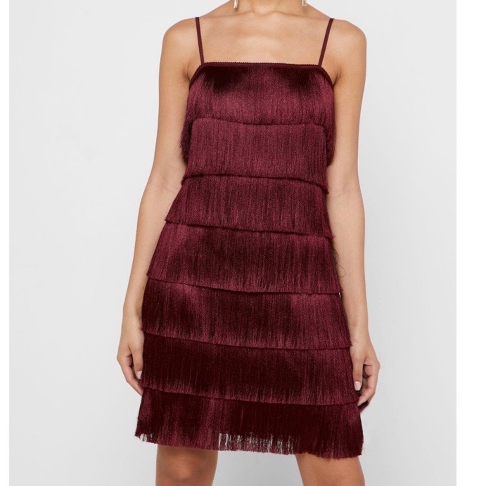 Berskha burgundy fringe dress. Super fun and playful!